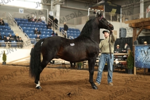 JHM-0054