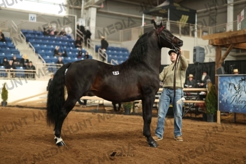 JHM-0055