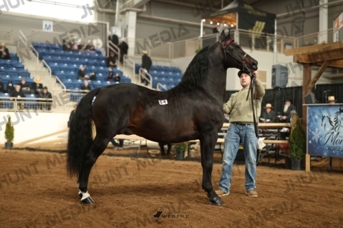 JHM-0056