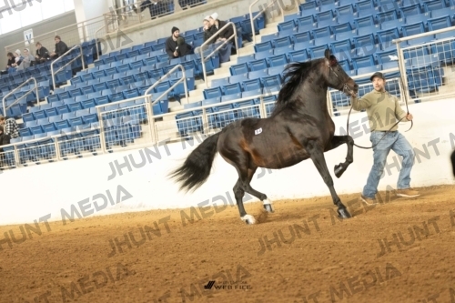 JHM-5366