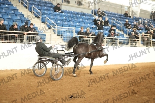 JHM-0119
