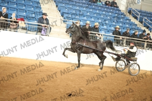 JHM-0194