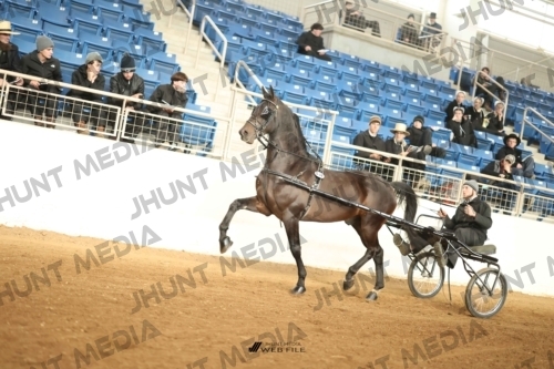 JHM-0203