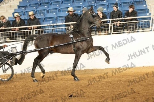 JHM-5427