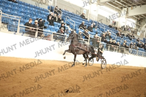 JHM-0219