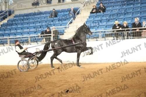 JHM-0289