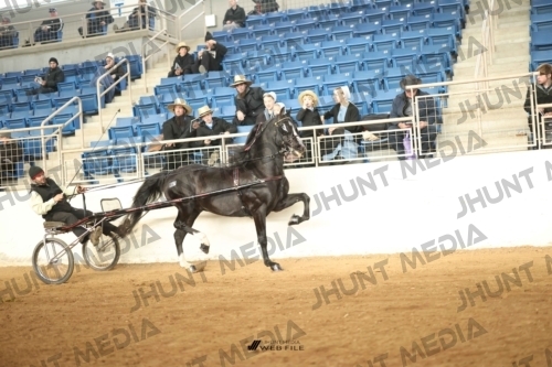 JHM-0371