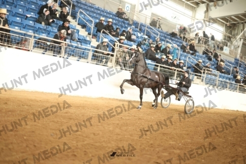 JHM-0381