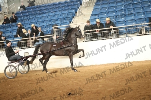 JHM-0392