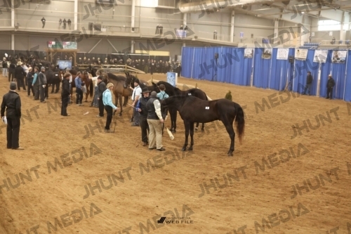 JHM-1430