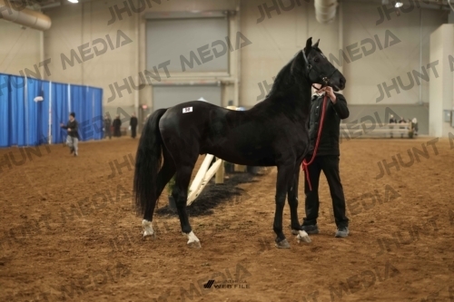 JHM-0499-1