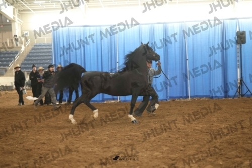 JHM-0509-1