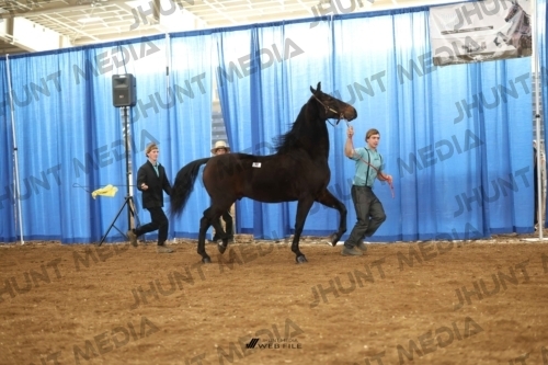 JHM-0578-1