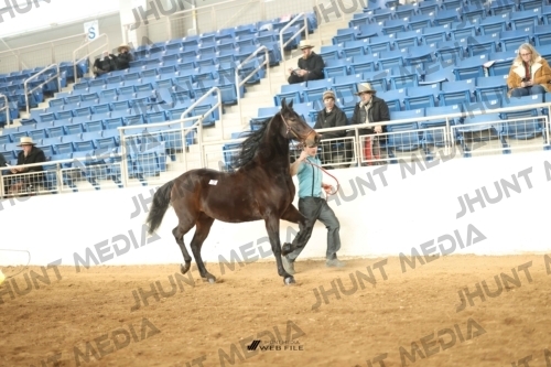 JHM-0581