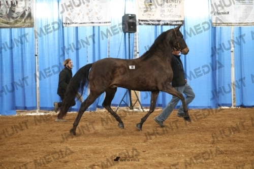JHM-0585-1