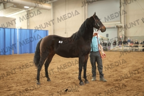 JHM-0595