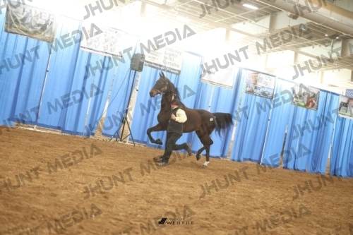 JHM-0599-1