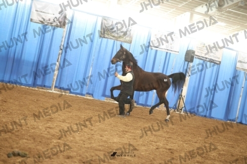 JHM-0600-1