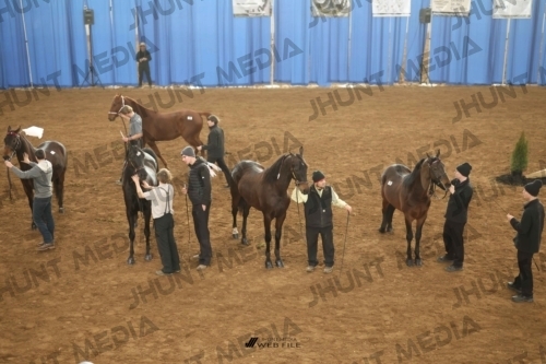 JHM-0614-1