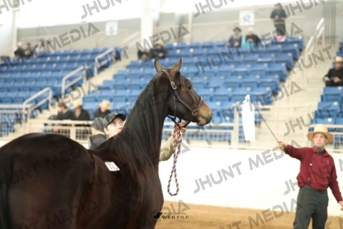 JHM-0634-1