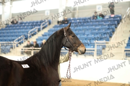 JHM-0638-1