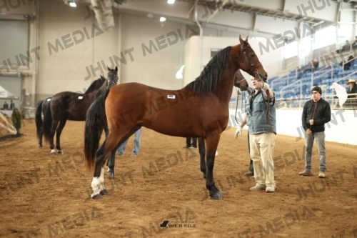 JHM-0682-1
