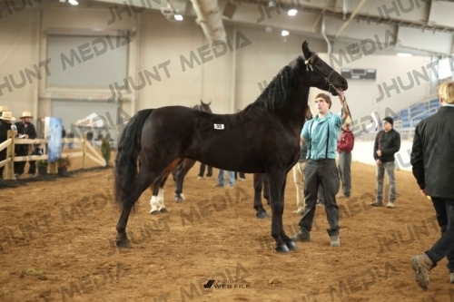 JHM-0685-1