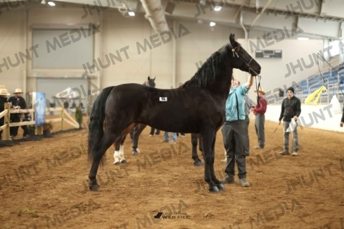JHM-0686-1