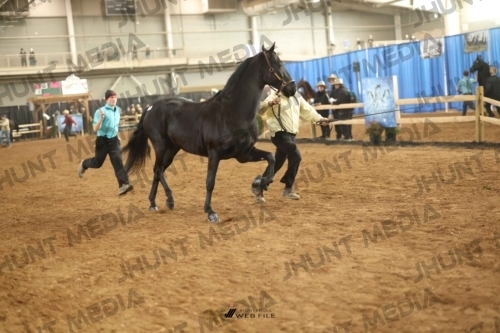 JHM-0693-1