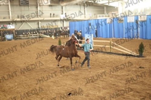 JHM-0721-1