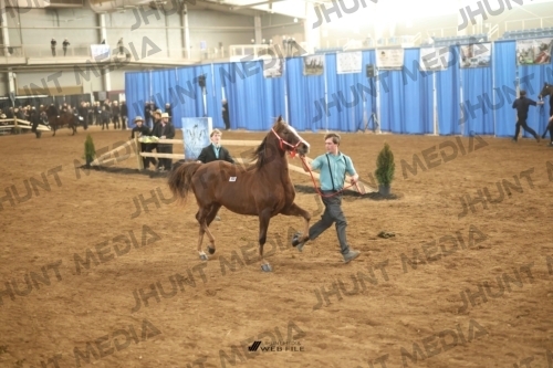 JHM-0722-1