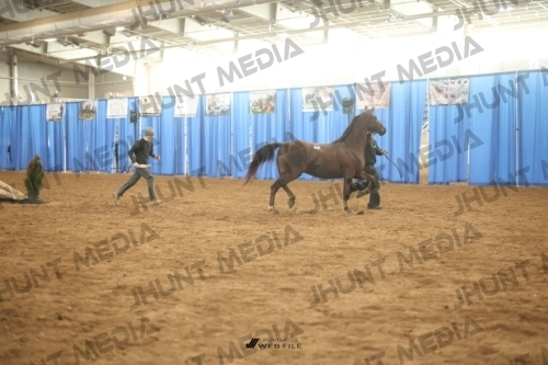JHM-0729-1