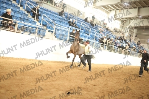 JHM-0732-1