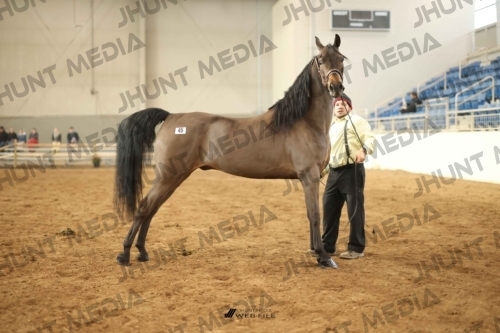 JHM-0734-1
