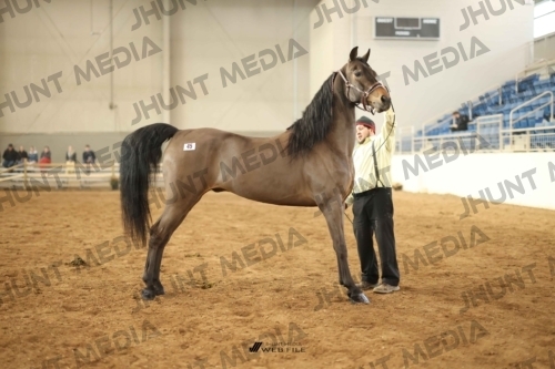 JHM-0735-1
