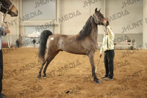 JHM-0739-1
