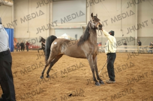 JHM-0741-1