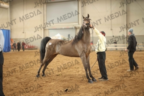 JHM-0743-1