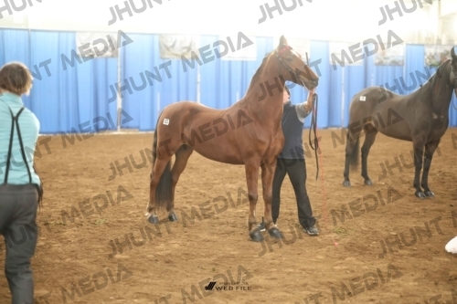 JHM-0756-1