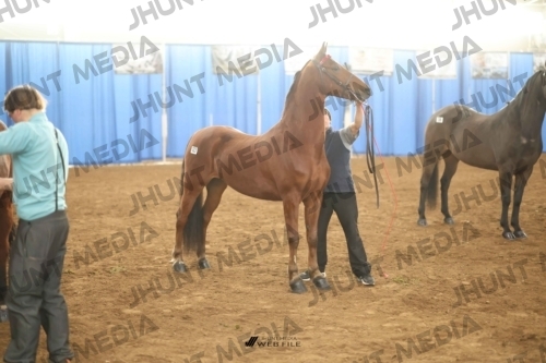 JHM-0757-1