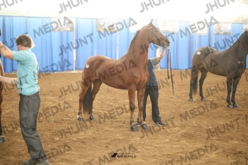 JHM-0759