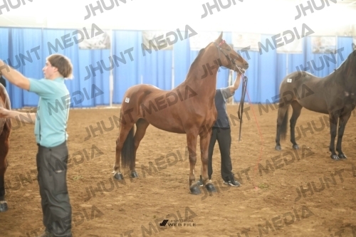JHM-0760-1