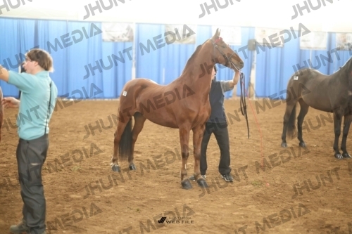 JHM-0761-1