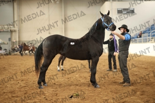 JHM-0773