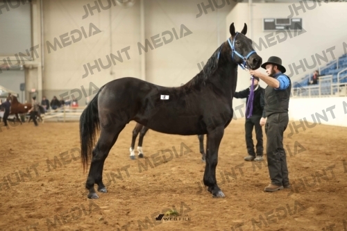 JHM-0774-1