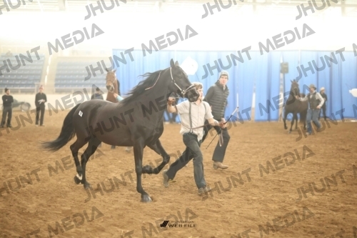 JHM-0821-1