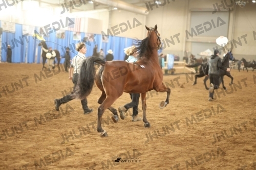 JHM-0822-1