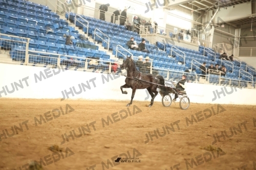 JHM-0831
