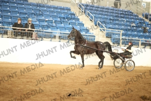 JHM-0833