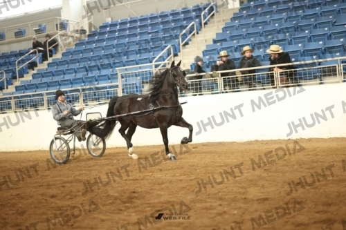 JHM-0874